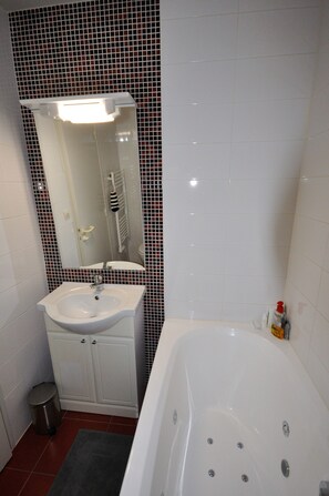 Combined shower/bathtub, hair dryer