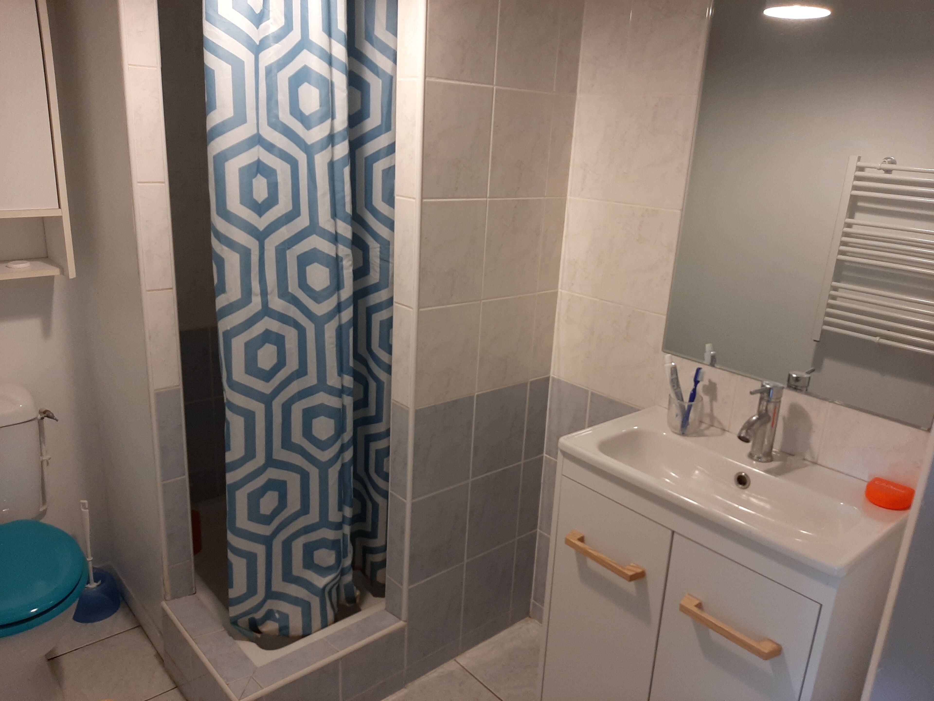 Une salle de bain équipée d’une douche, de toilettes, d’un lavabo et d’un miroir.