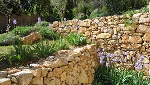 Een tuin met een stenen muur, verschillende planten en paarse bloemen.