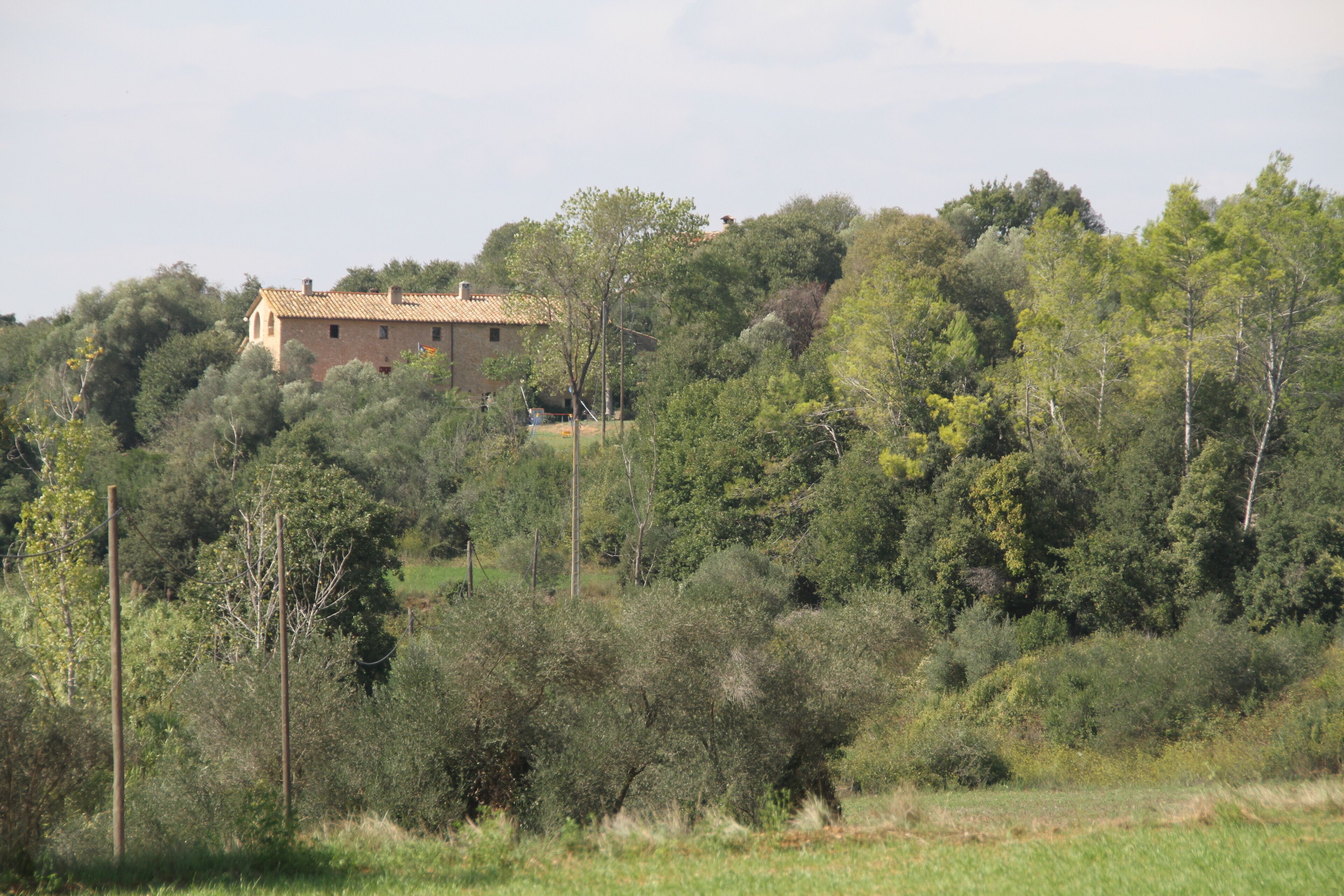 A rustic building surrounded by dense greenery and trees.