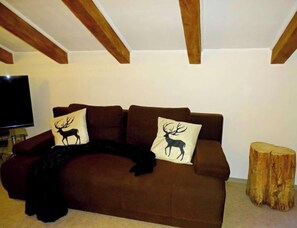 TV, ping pong - Haus Schneeberg - Selbhorn - Family apartment sleeping up to 5 people, with Hochkönig Card (Mühlbach am Hochkönig)