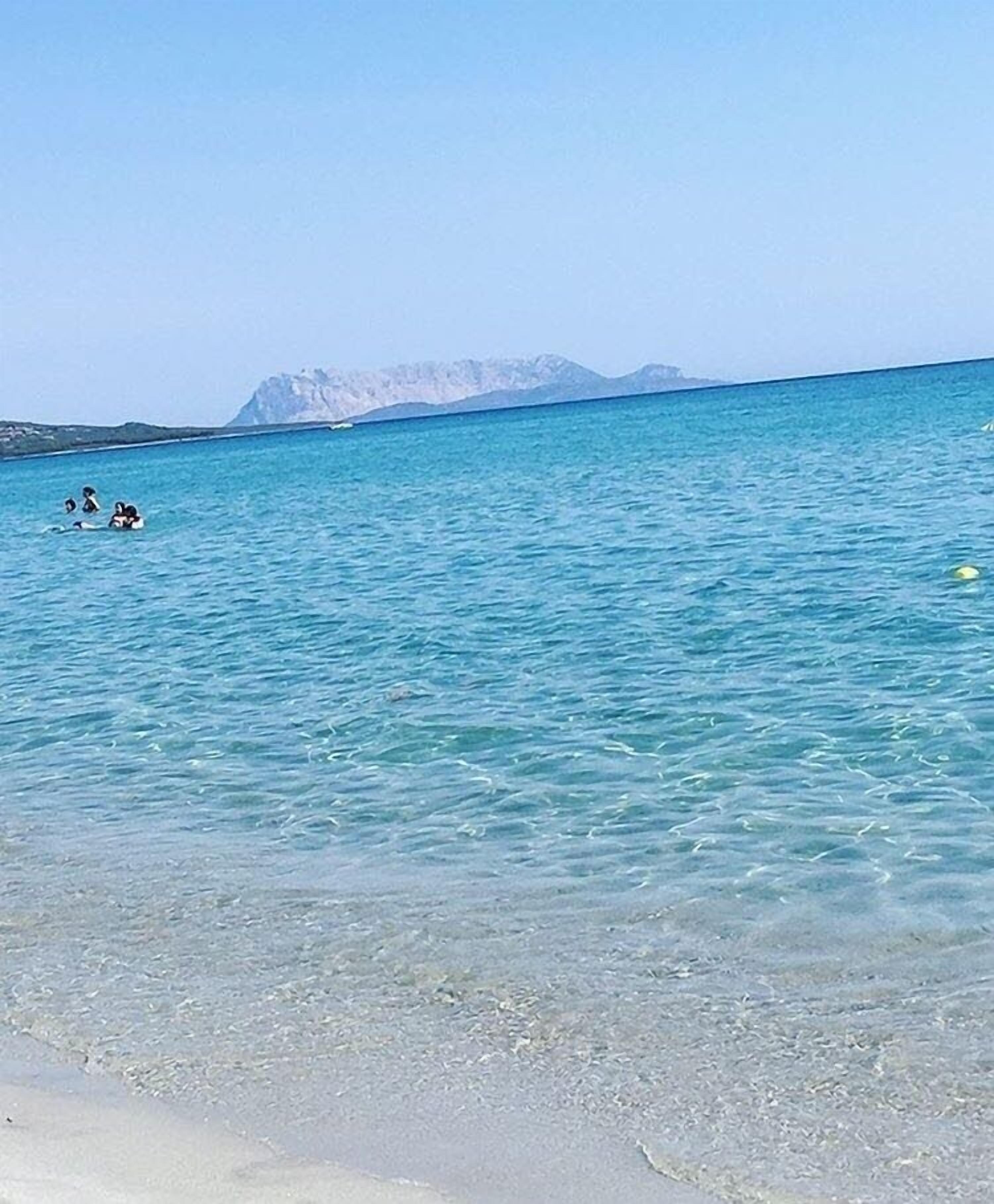 بالقرب من الشاطئ