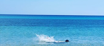 Two-room apartment 2, 350 meters from the beach