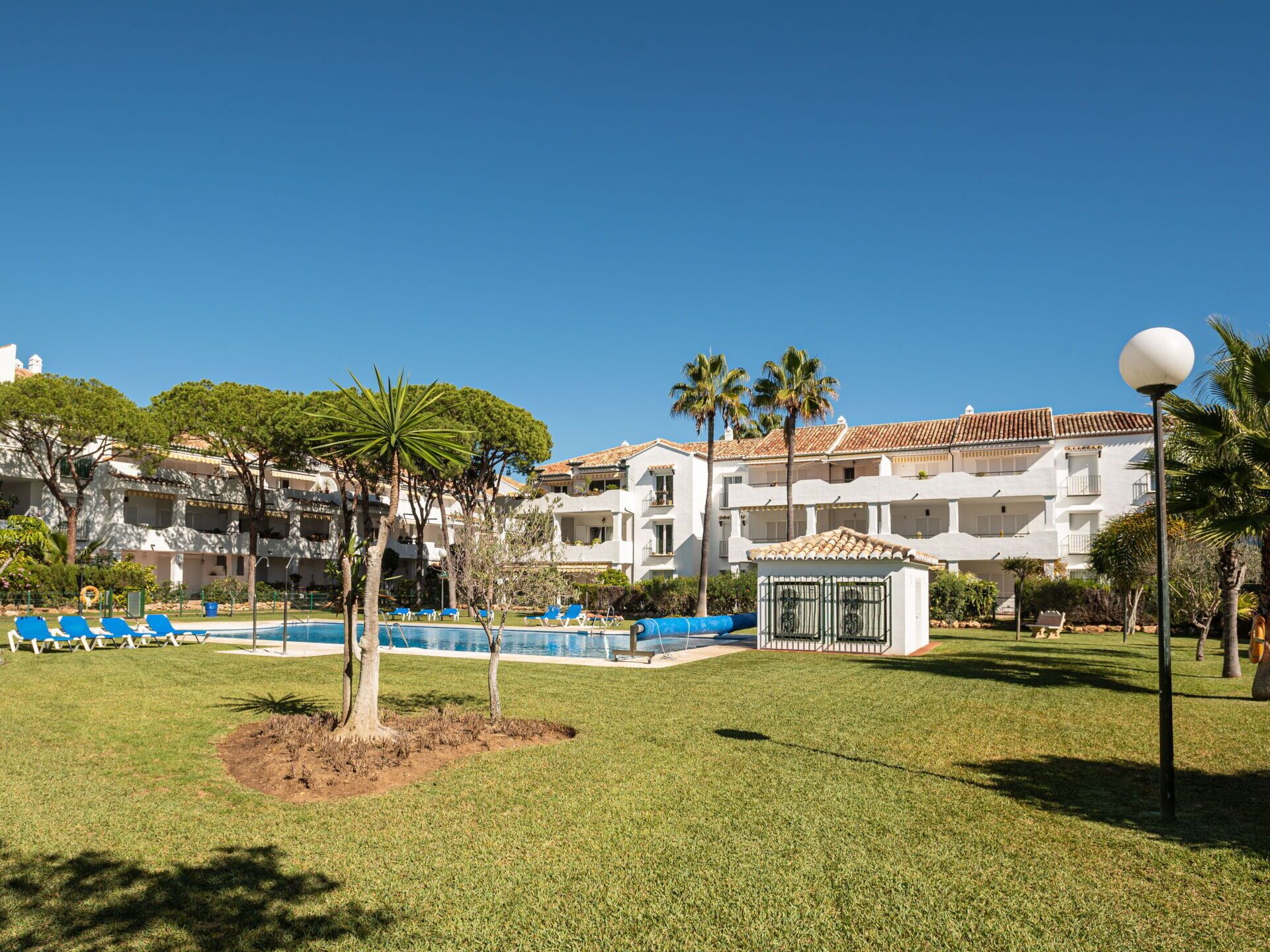 Cortile di un hotel con piscina, palme e un gazebo.