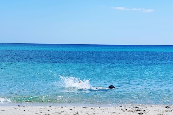 Playa en los alrededores