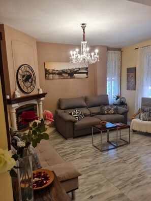 Smart TV, fireplace, DVD player, books