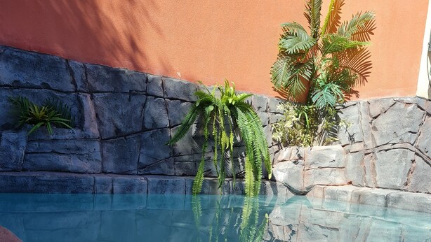 Ein Pool mit klarem Wasser, umgeben von Steinmauern und tropischer Bepflanzung.