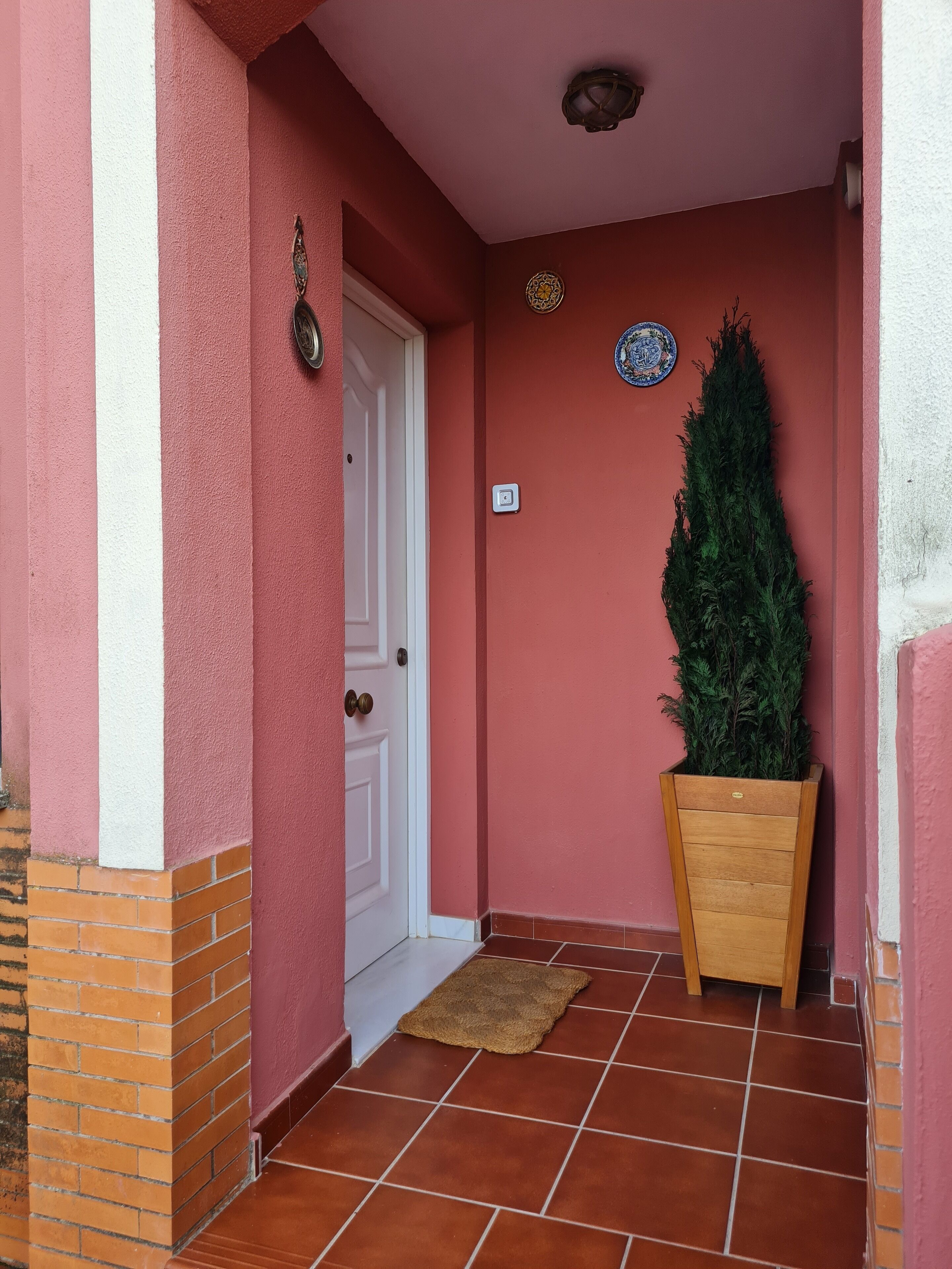 A corridor with a red wall, a white door, a small wooden planter with a tall green plant, and a tiled floor.