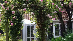 A white house with a garden. - Luxury B&B in a historic village 10 km from downtown Amsterdam. Peace & comfort. (Broek in Waterland)