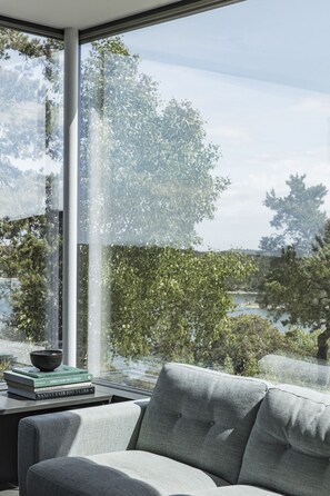 Smart TV, lareira, livros, biblioteca musical