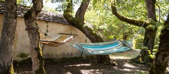 Large character house with many spaces