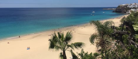 Ubicación cercana a la playa, tumbonas y toallas de playa