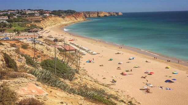 Una playa con una fila de tumbonas y sombrillas, una vista despejada del océano y un litoral rocoso.