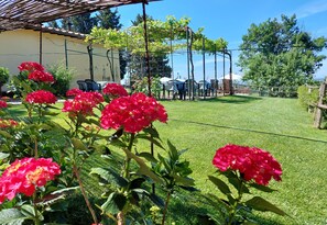 Terrein van de accommodatie