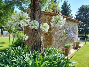 Overnattingsstedets uteområder