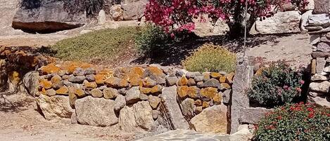 Un chemin de pierres traverse un jardin où poussent différentes espèces de plantes, et un grand arbre se dresse à l'arrière-plan.