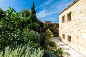 Terrain de l’hébergement 