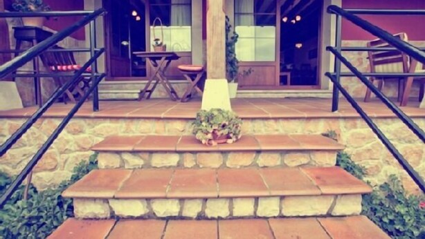 A staircase leading to a building entrance with stone steps, a railing on each side, and a potted plant in the center.