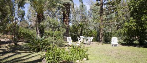 Terrein van de accommodatie