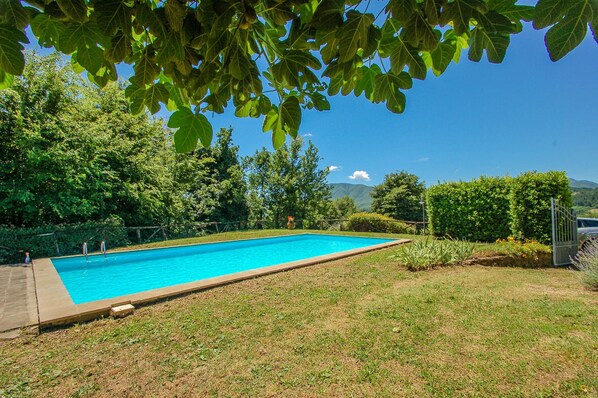 Une piscine rectangulaire à l’eau d’un bleu limpide, entourée d’une pelouse et bordée d’un petit muret en pierre.