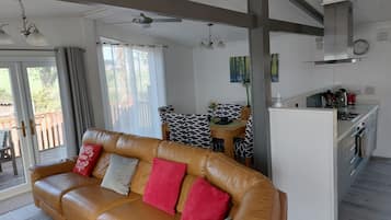Smart-TV, Kamin