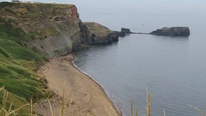 Eine Küstenlandschaft mit Sandstrand, grasbewachsenen Klippen und ruhiger See.