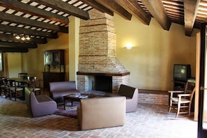 Televisión, chimenea y reproductor de DVD