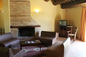 Televisión, chimenea y reproductor de DVD