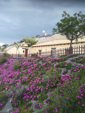 المنطقة المحيطة بالمنشأة