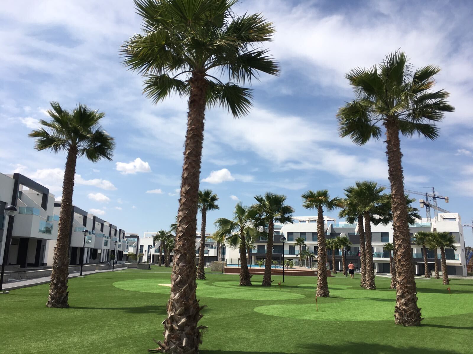 A courtyard with palm trees and modern buildings.
