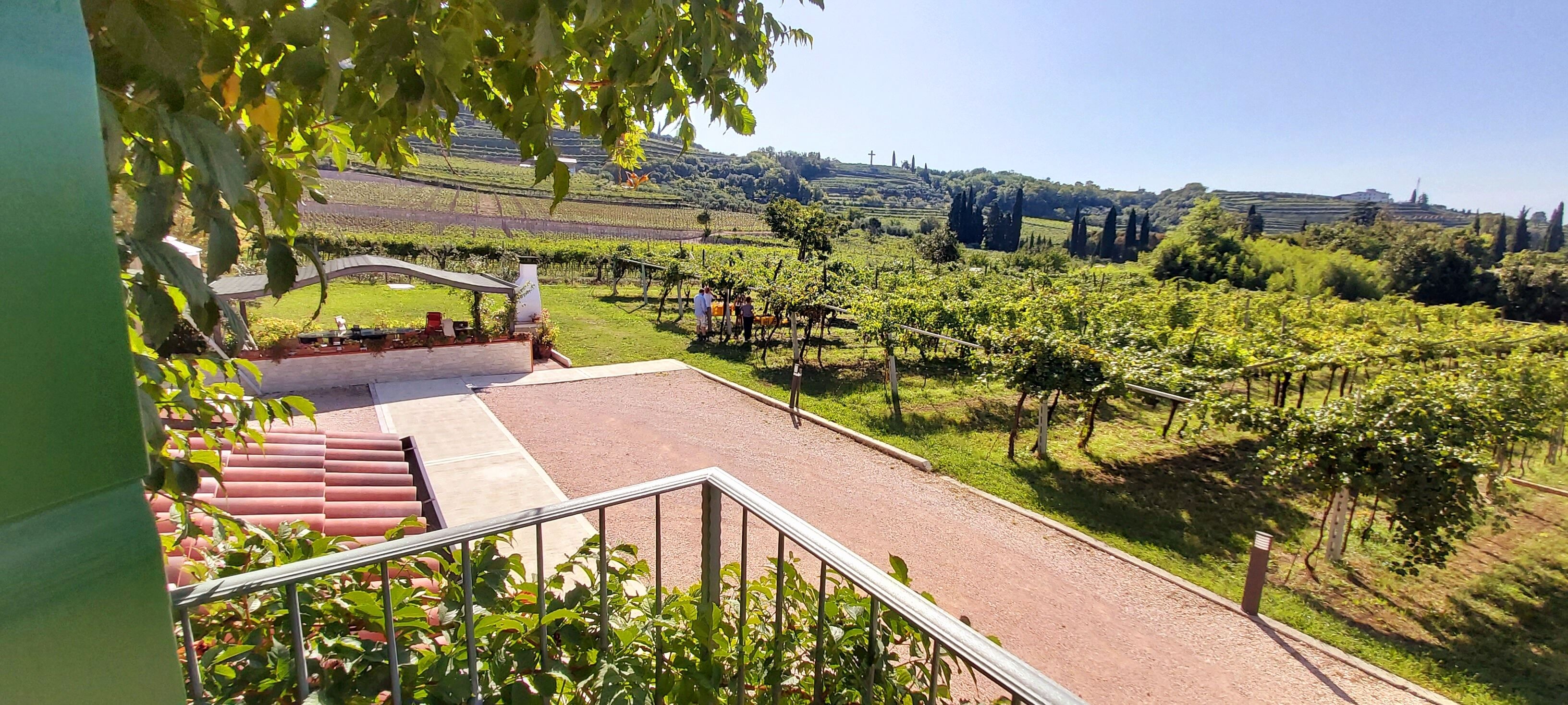 Relax in Valpolicella - Orchidea