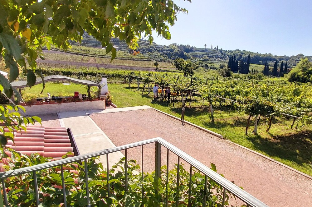 Relax in Valpolicella - Orchidea