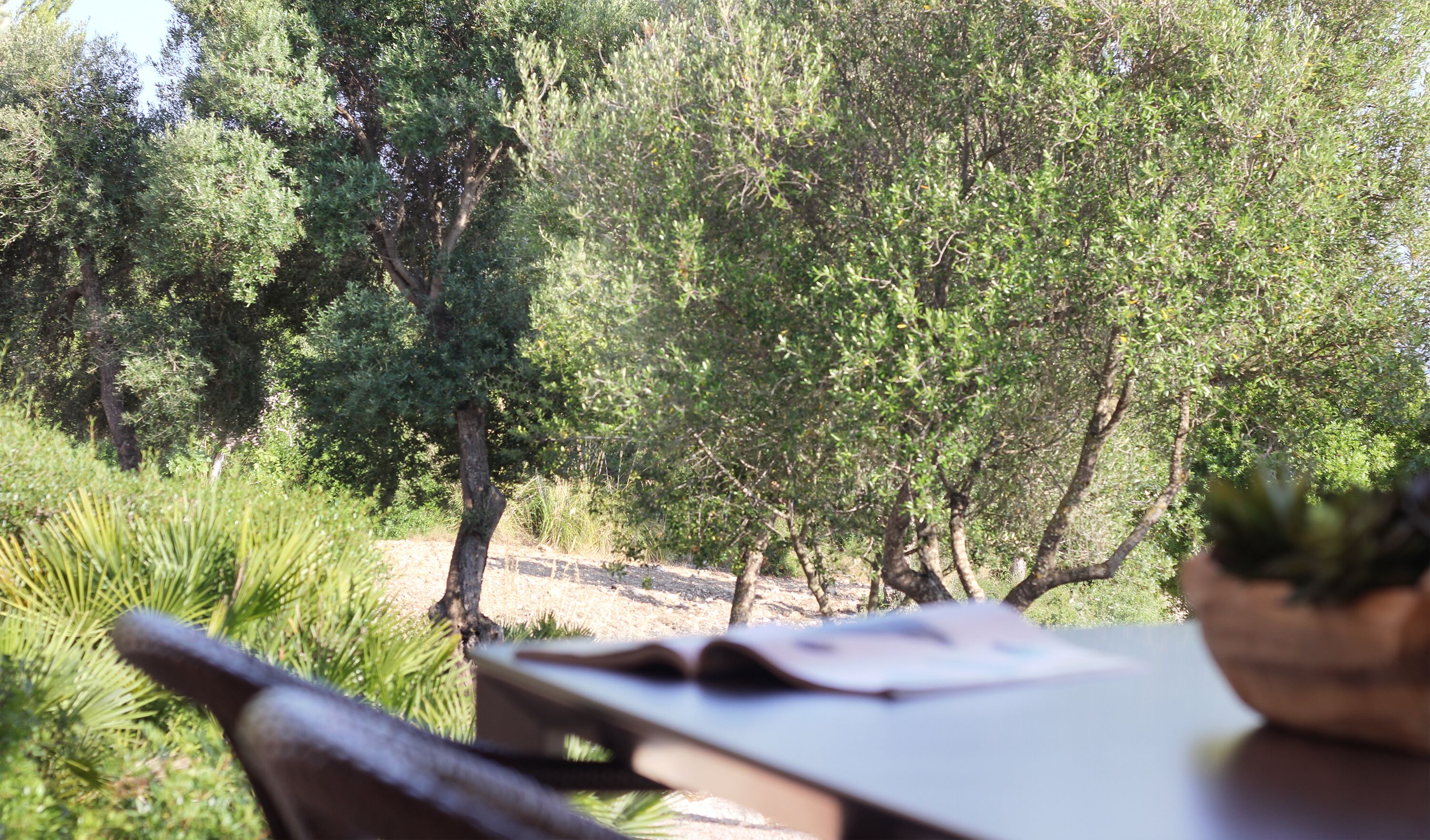 Un área de estar al aire libre con una mesa y sillas, rodeada de árboles y vegetación.