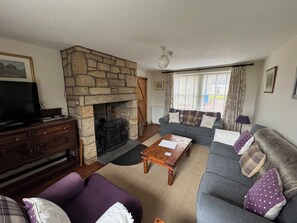 Smart TV, fireplace, DVD player, books