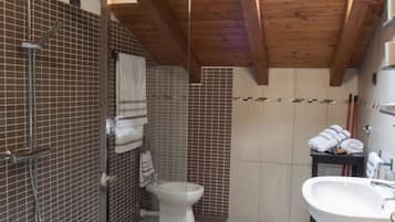 Dusche, Haartrockner, Bidet, Handtücher