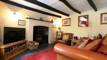 TV connectée, cheminée, lecteur de DVD, livres