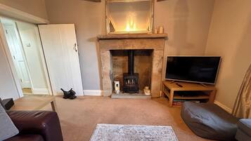 Smart TV, fireplace, video games, DVD player