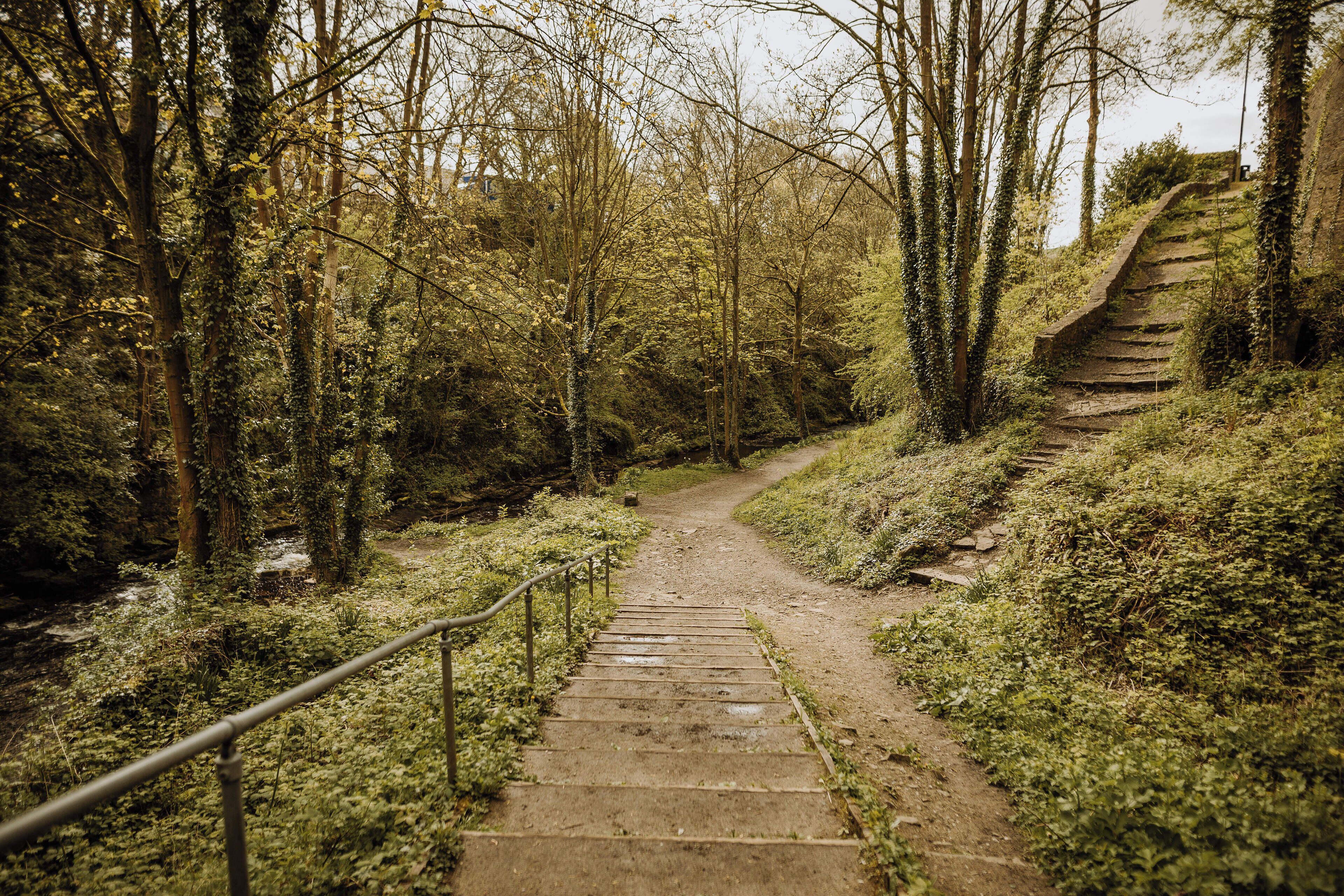 Áreas de la propiedad