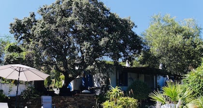 Ainutlaatuinen talo allas keskellä keidas