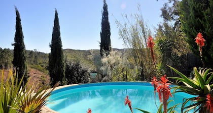 Unique maison avec piscine au milieu d'une oasis de calme