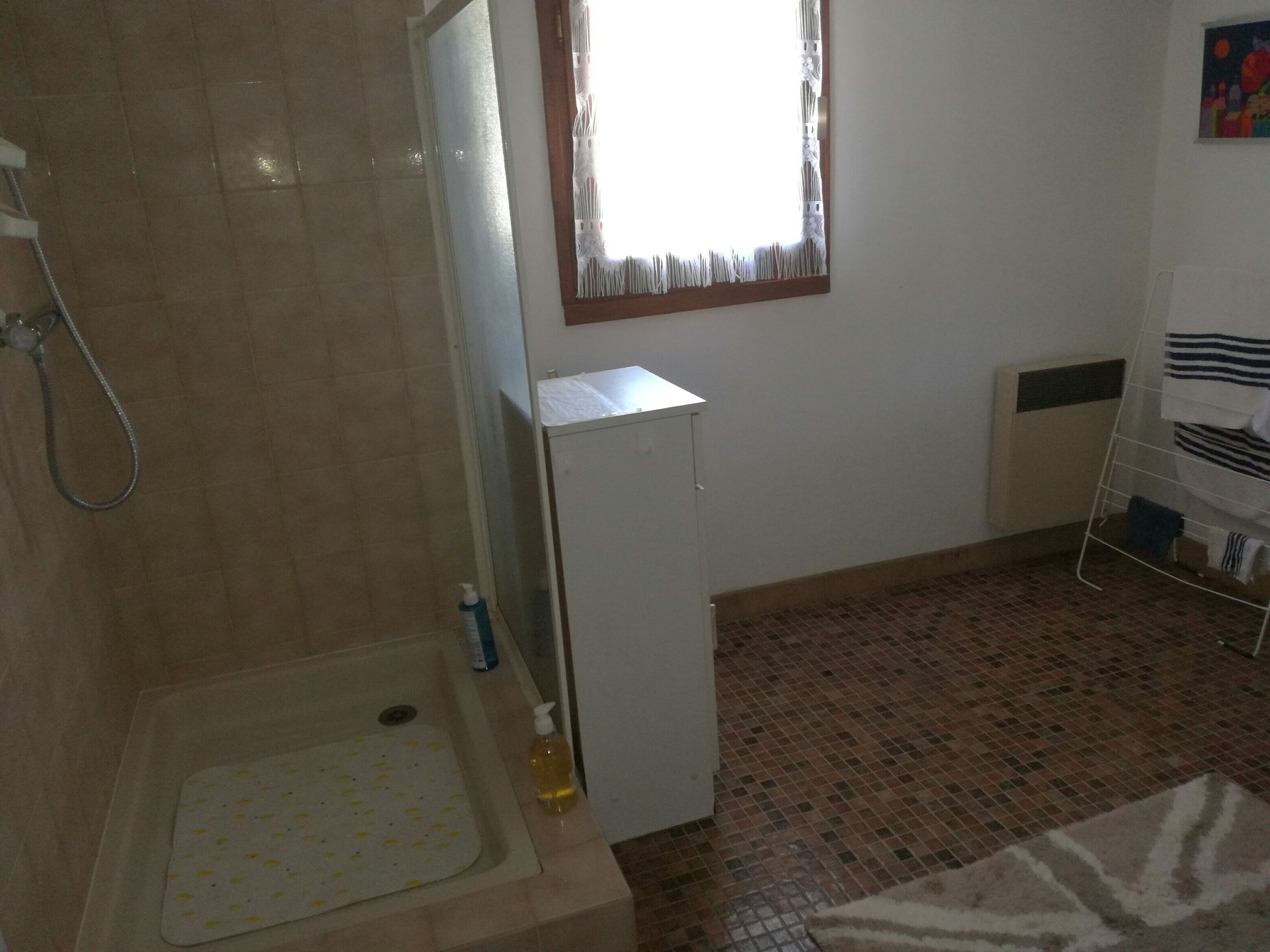 A bathroom with a shower, a sink, a mirror, and a window.