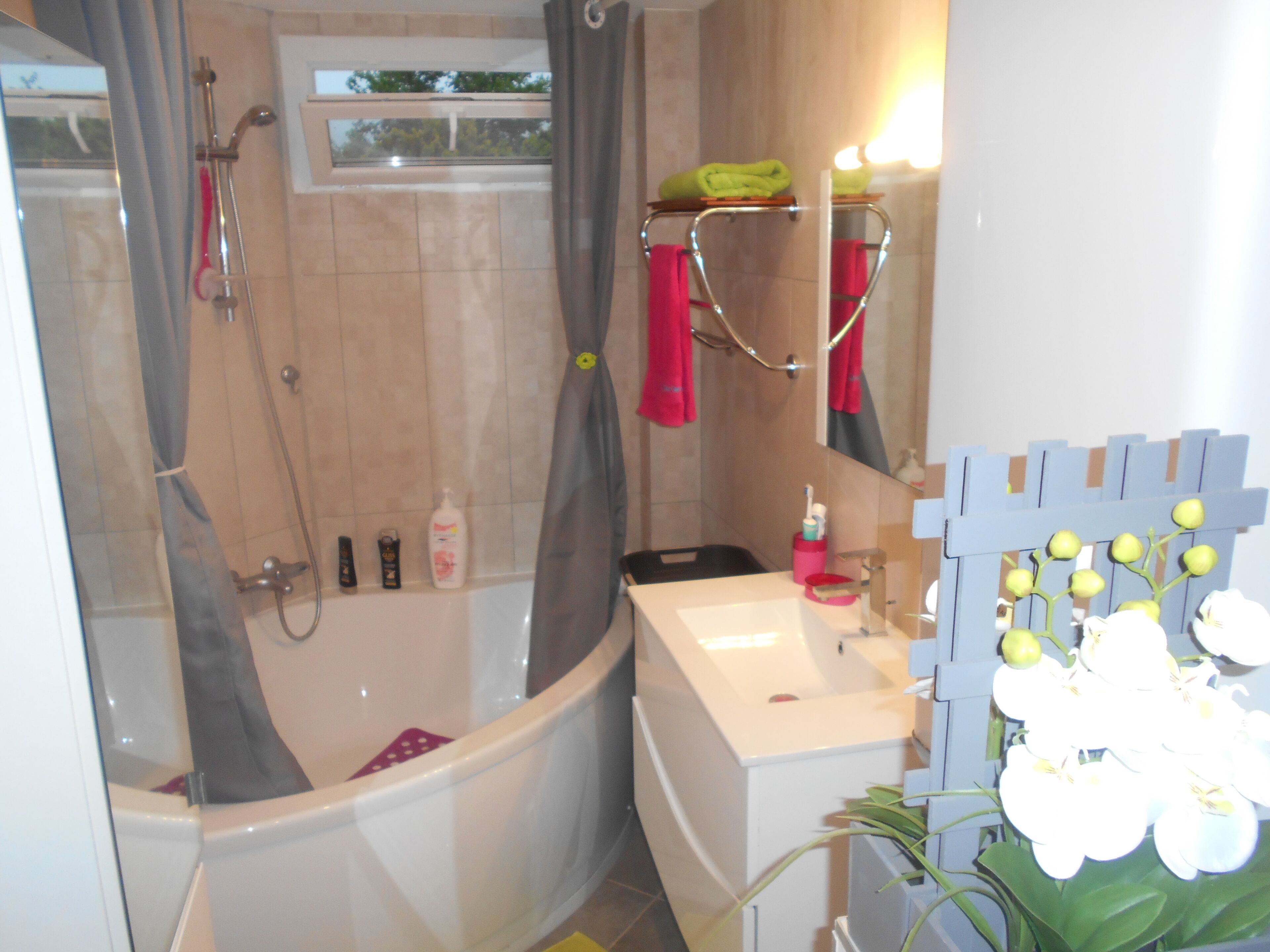 House 15 mins from Lyon, tramway oriented