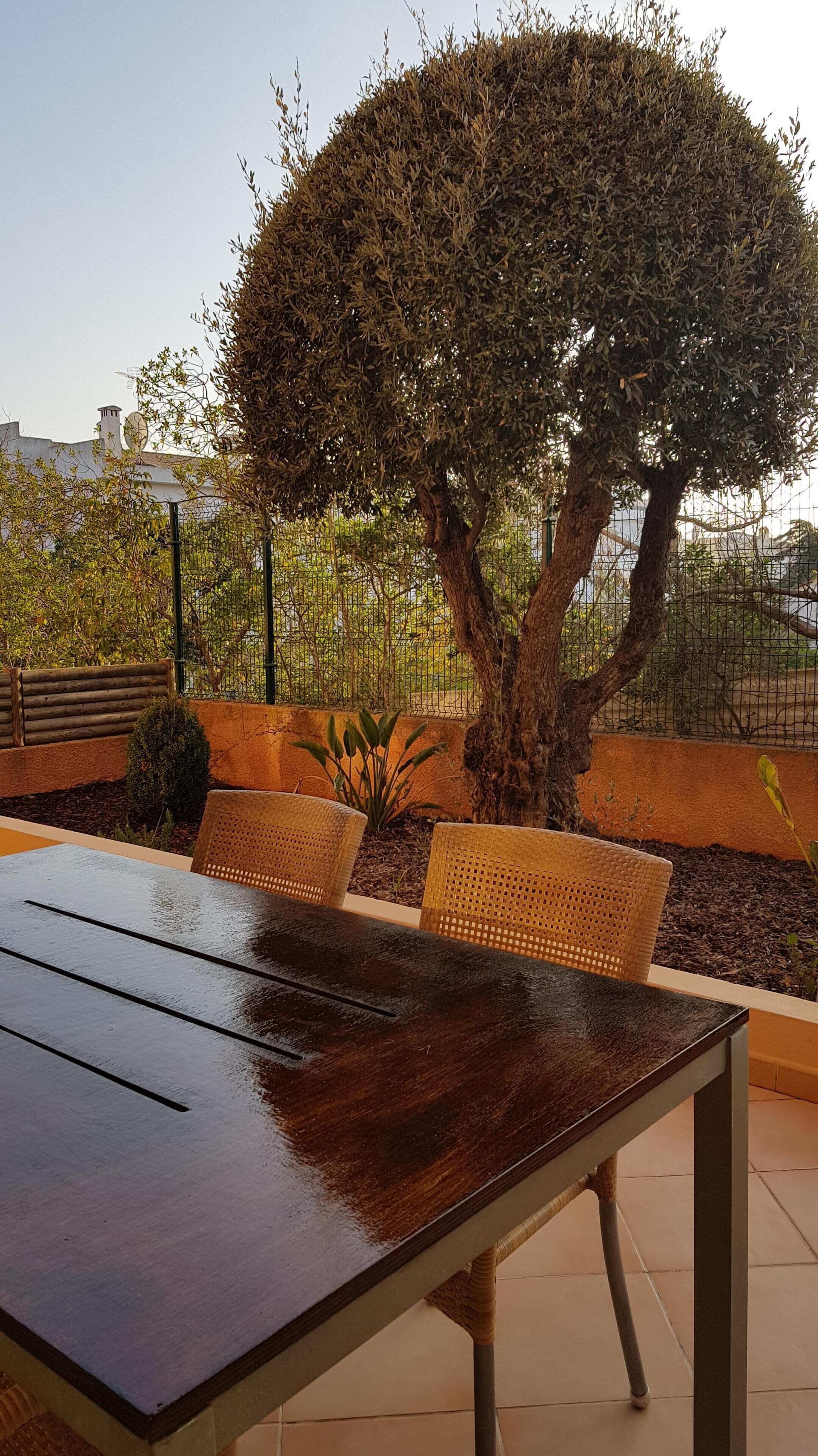 A patio with a table and chairs, surrounded by a well-maintained garden and a large tree.