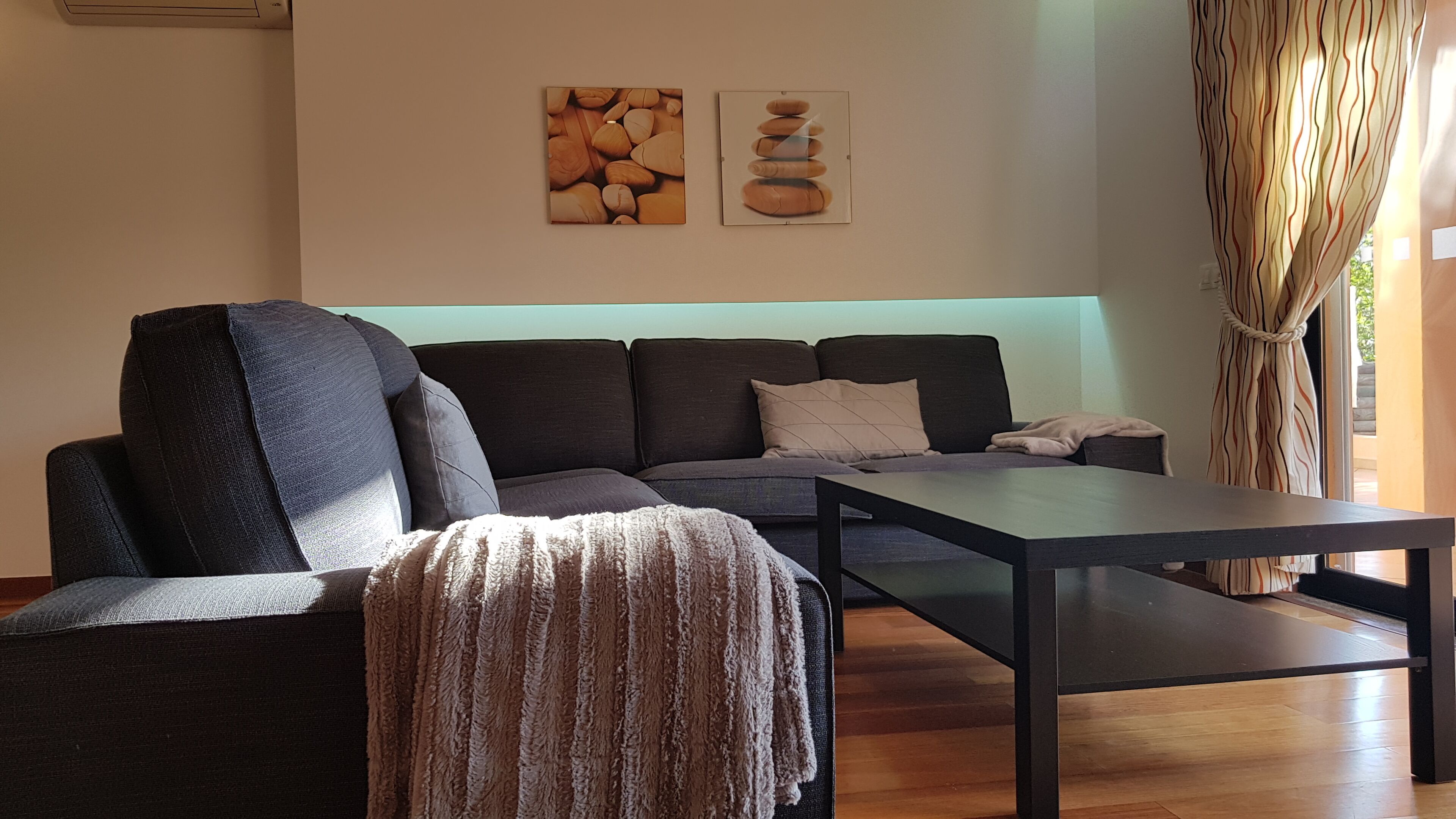 A modern living room with a dark grey sofa, a wooden coffee table, and a patterned throw blanket. There are two wall-mounted artworks depicting natural elements.