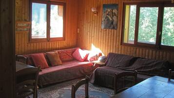 Télévision, jeux vidéo, lecteur de DVD, livres