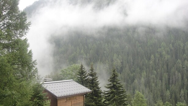 Eine Holzhütte mit einem Metall-Dach, umgeben von einem Wald und Nebel.