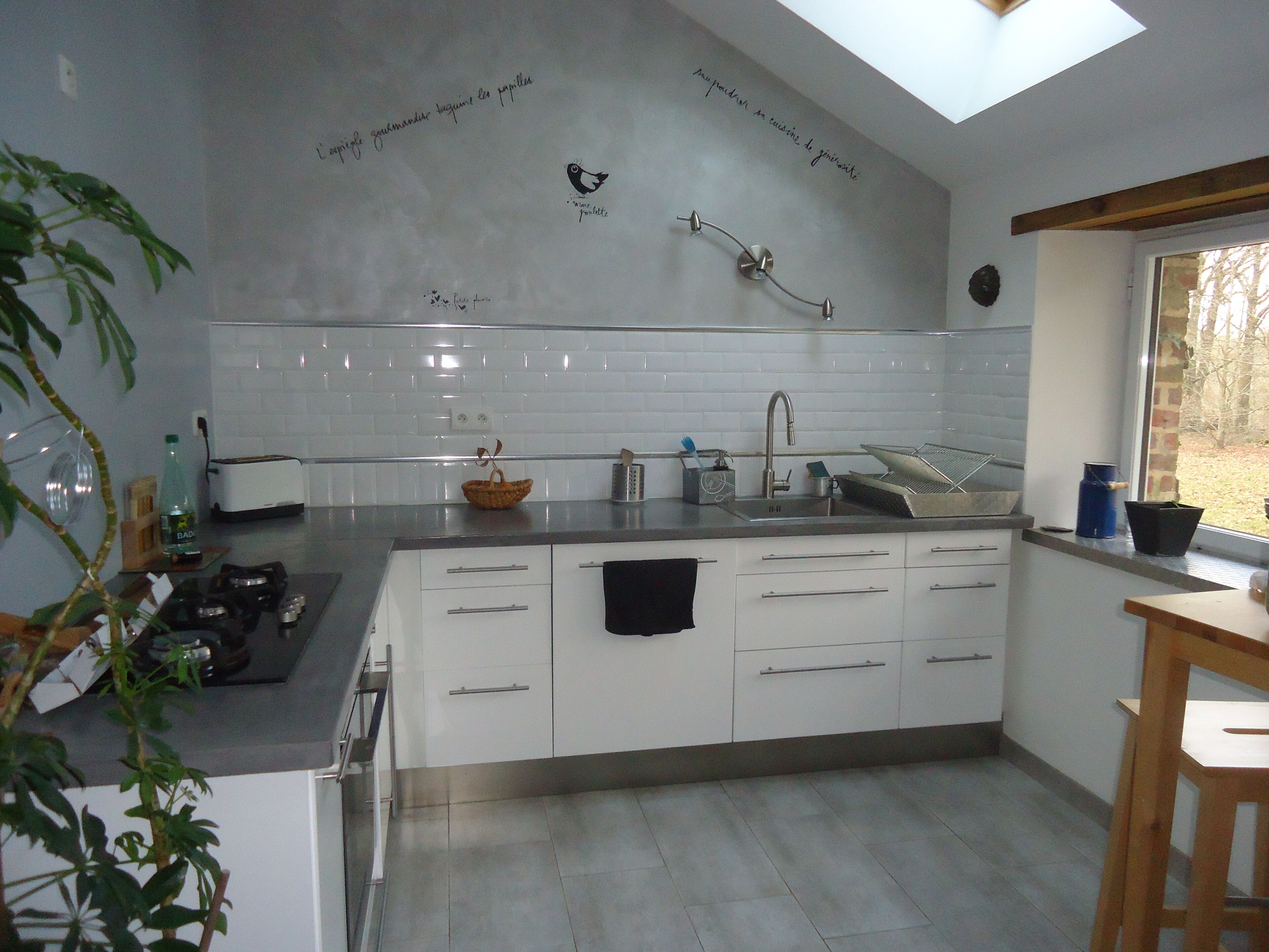 FARM IN THE MIDDLE OF HORSES