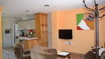 TV, fireplace, video games, DVD player