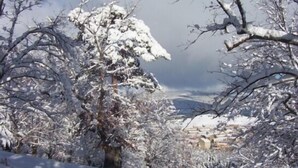 A snowy landscape with bare trees and a distant view of a town. - Bocanegra Rural Cottage for 10 people (Canicosa de la Sierra)