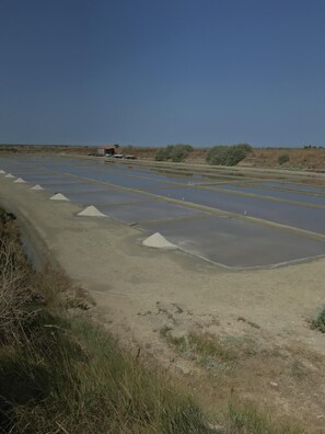 Terrain de sport